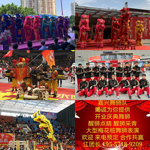 嘉興舞獅隊 開業(yè)慶典舞獅表演價格與營業(yè)性文藝表演全解析